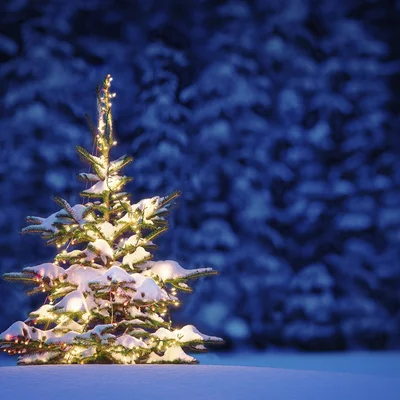 Maisinger Christkindl-Dult